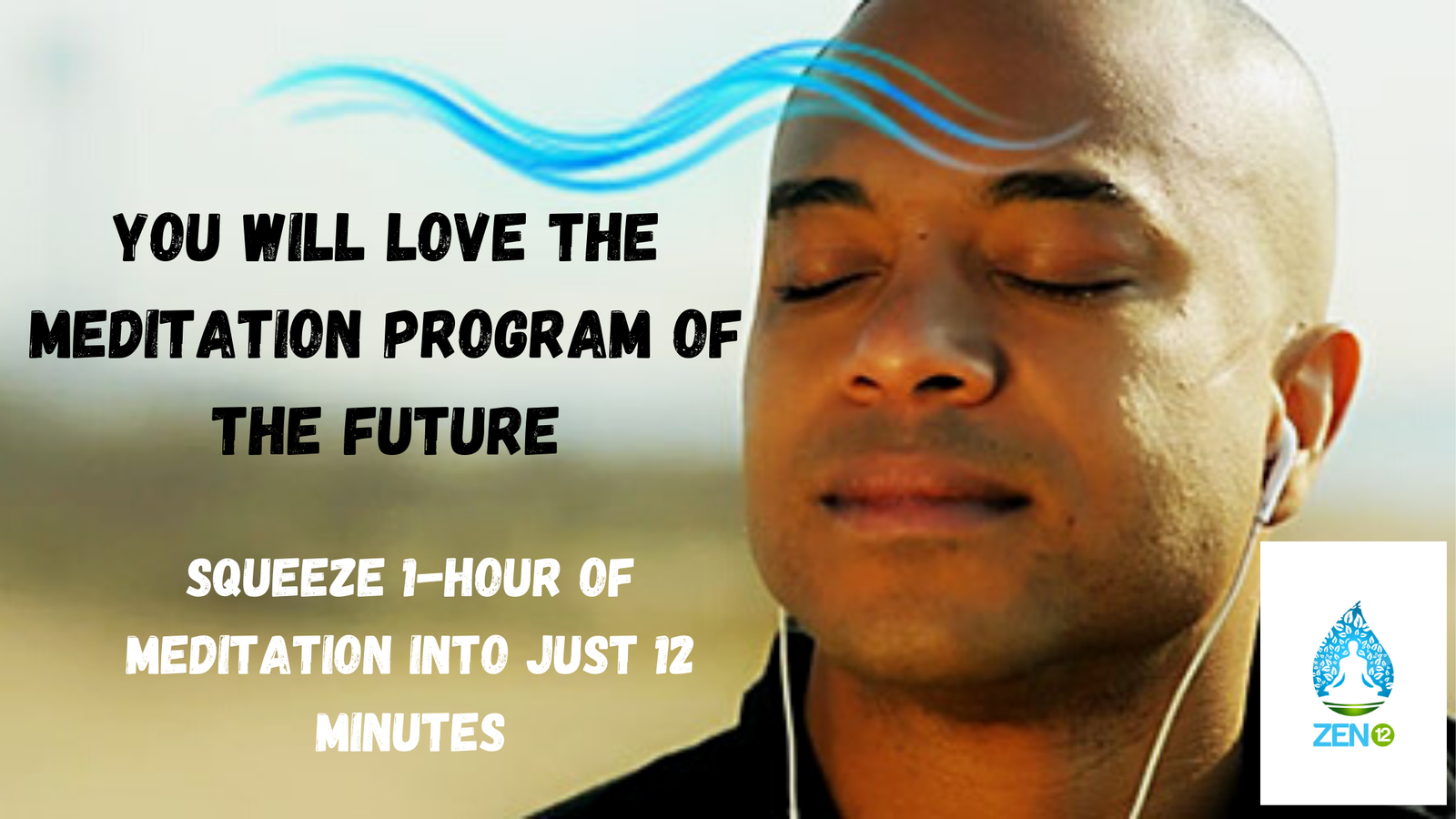 Zen12 a meditation program