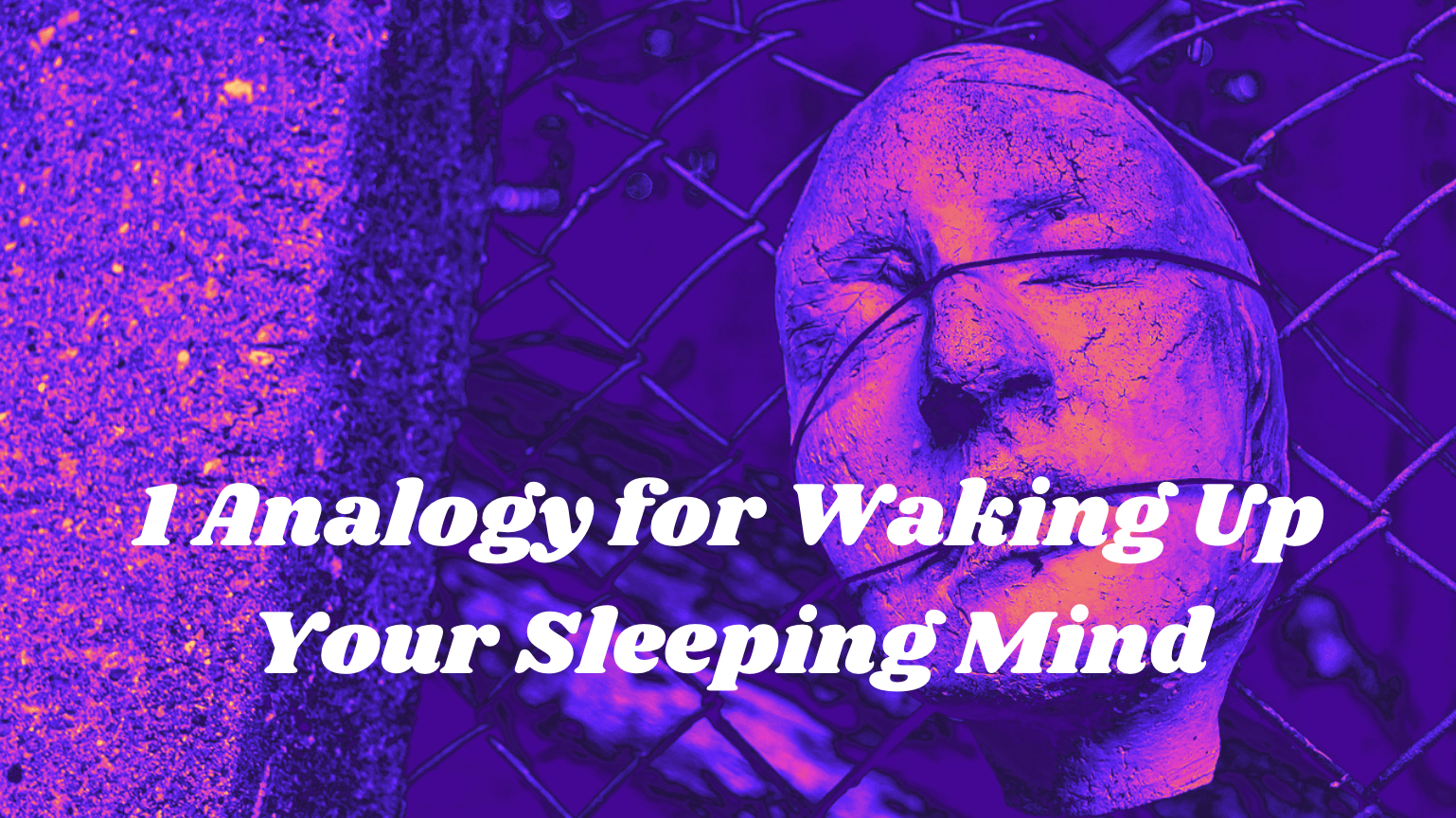 1 Analogy for Waking Up Your Sleeping Mind